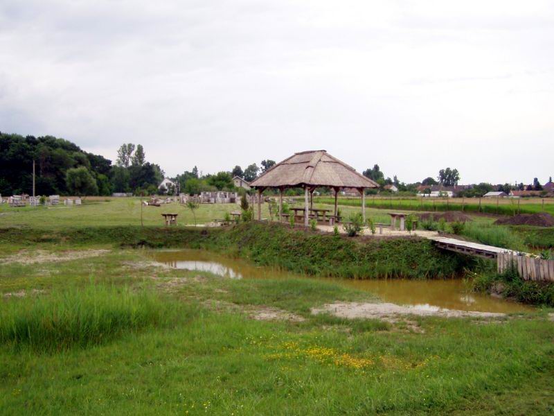 Piheno05071101