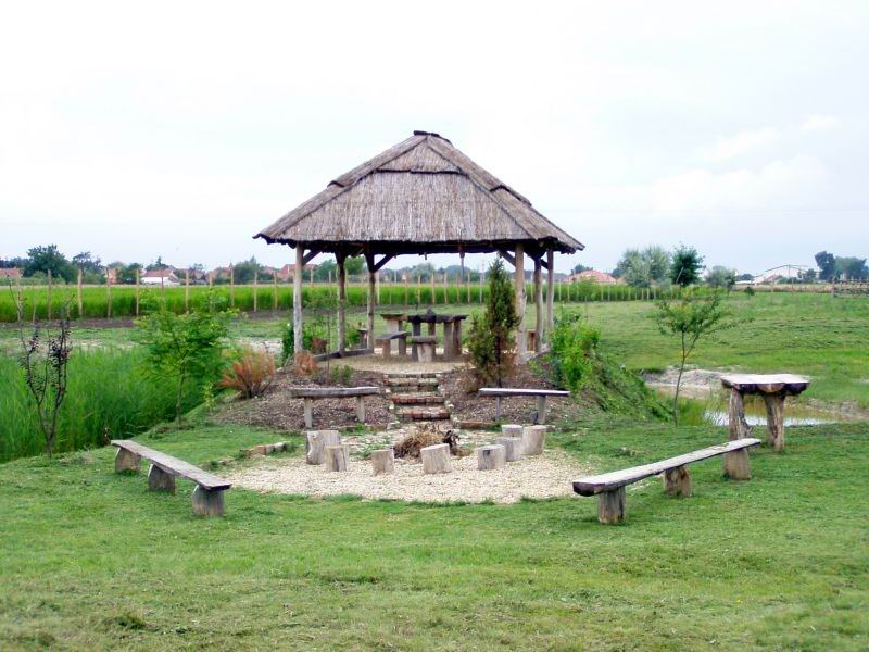 Piheno05071105