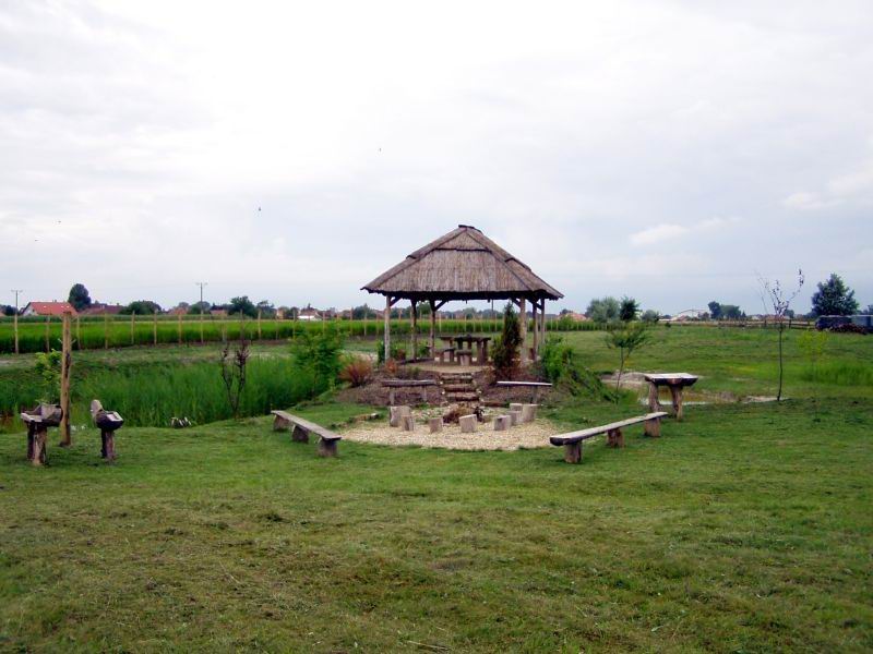 Piheno05071106