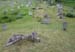 Palyak2005071101
