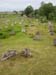 Palyak2005071103