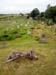 Palyak2005071105
