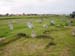 Palyak2005071108