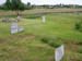 Palyak2005071109