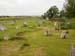Palyak2005071110