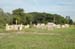 palya2005071324