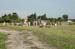 palya2005071325