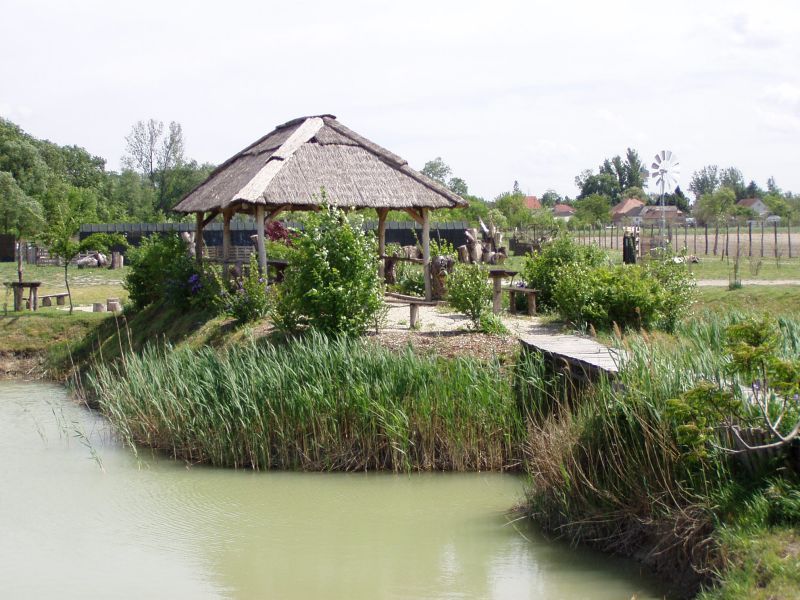 P1010005