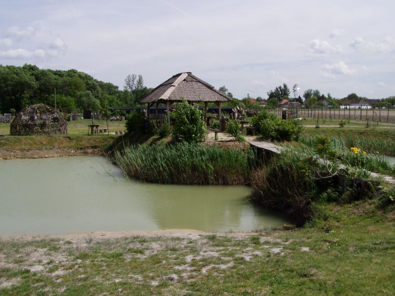 P1010006