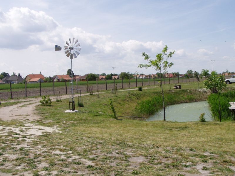 P1010011