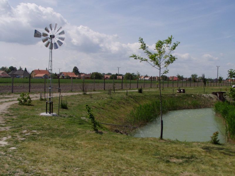 P1010012