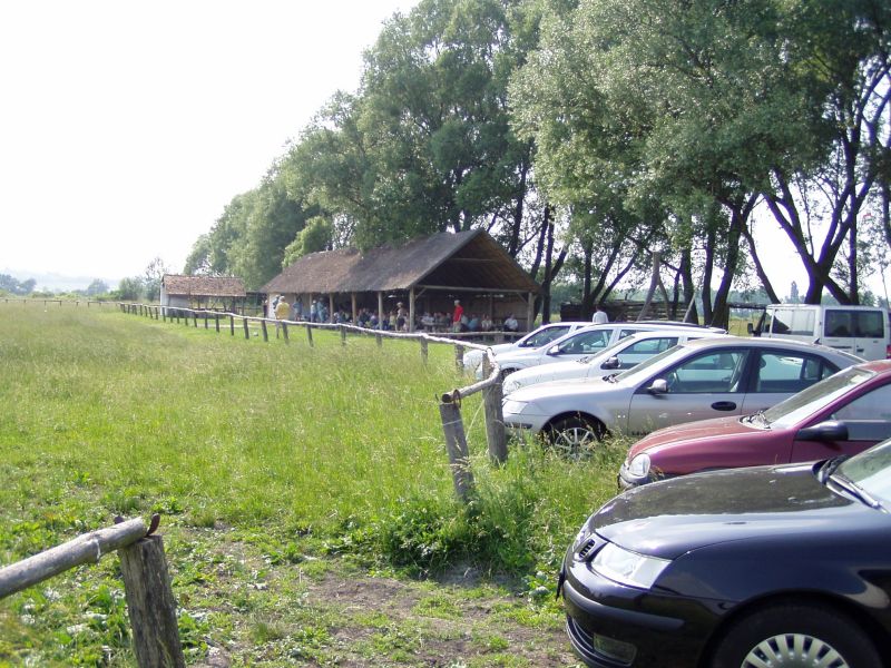 P1010001