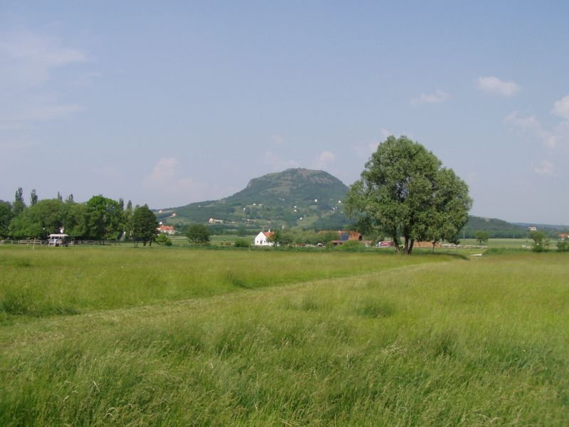 P1010006