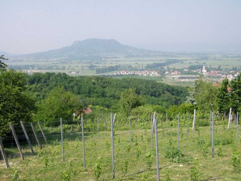 P1010008