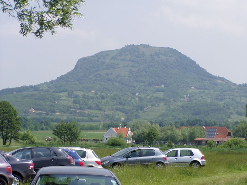 P1010023
