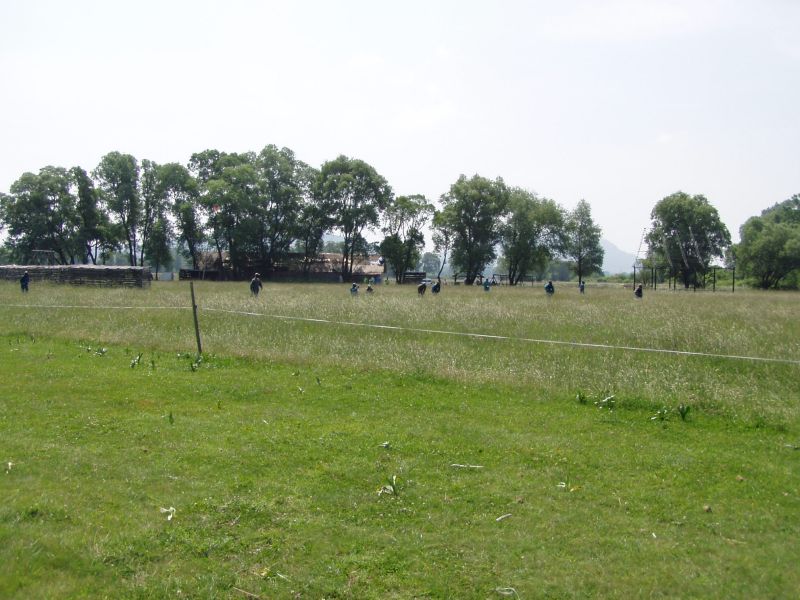 P1010035