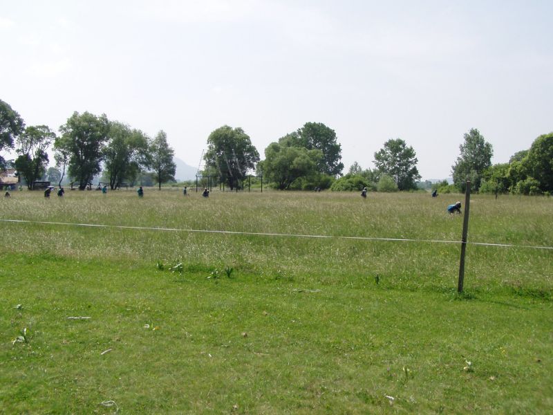 P1010036