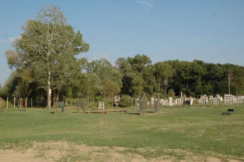 017