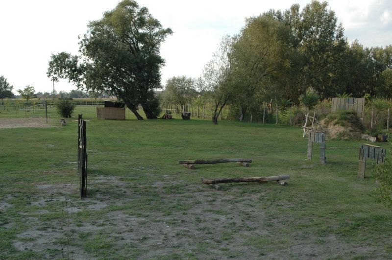 050